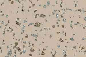 Линолеум Gerflor Taralay Premium Poesy 2747 Ballade фото  | FLOORDEALER